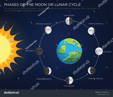 Earth Sun And Moon Cycle