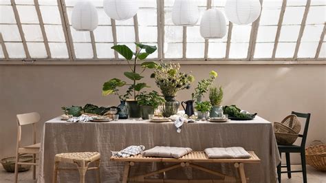 Interior decorating tips using indoor plant decor - IKEA