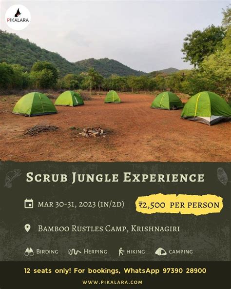 Scrub Jungle Experience, Bamboo Rustles Camp, Road, Konganepalli, Tamil ...