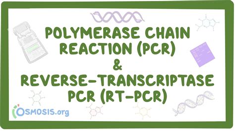 Image result for Reverse Transcriptase PCR