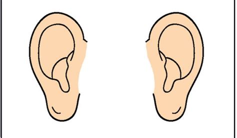 Listening Ears Clipart | Free download on ClipArtMag