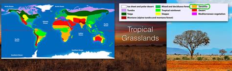 Grassland 的图像结果