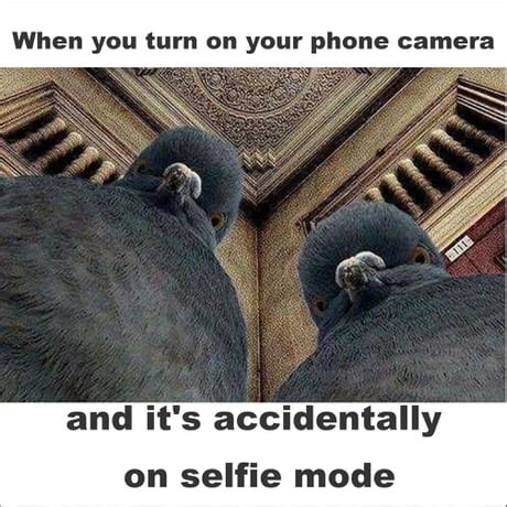 Front Camera Meme 的图像结果