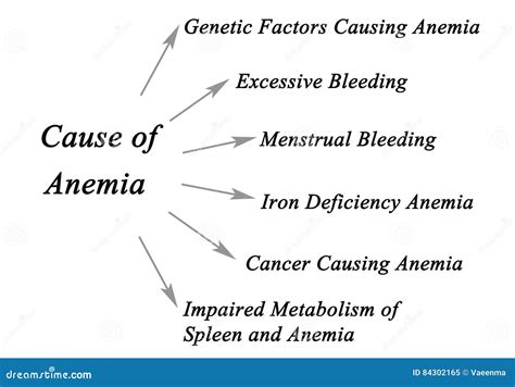 Etiology Of Anemia: Anemia Statistics – PING