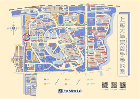 科学网—上海大学宝山校区：秋日草色 - 陈立群的博文