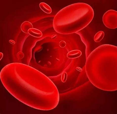 你是什么血型？瑞典科学家发现血型与疾病之间的关联_澎湃号·湃客_澎湃新闻-The Paper