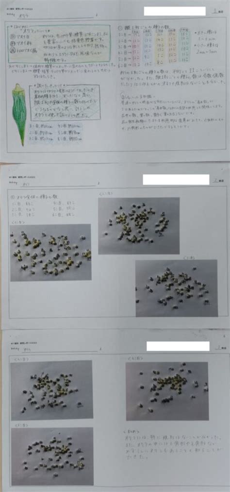 Image result for Inverse Function Examples Math
