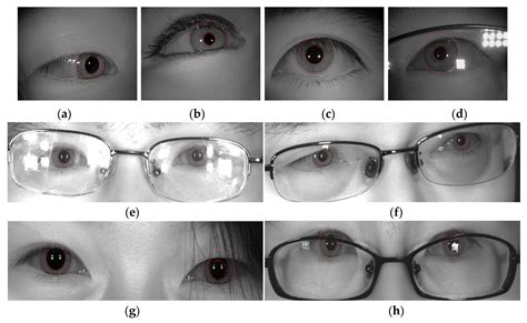 Robust Iris-Localization Algorithm in Non-Cooperative Environments ...
