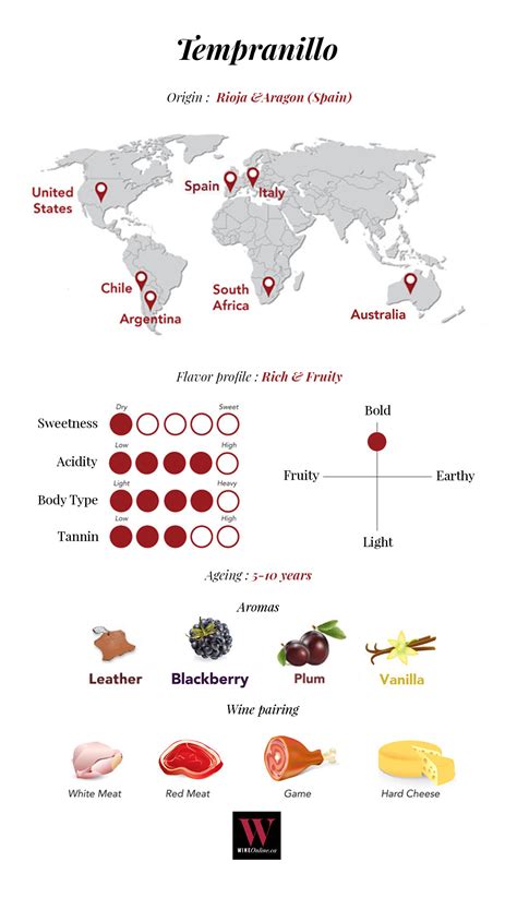 Tempranillo, A Spanish Wine Star To Discover - Knowledge Centre | Wine ...