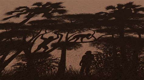 7 million years ago, our earliest relatives took their first steps on 2 ...