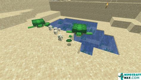 Image result for How to Craft a Turtle Shell in Minecraft