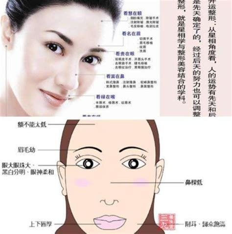 3D人脸结合“相貌认知学”，上海影子智能：让整形效果“精确预览”