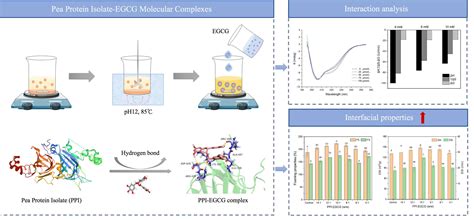 Structural Characterization and Evaluation of Interfacial Properties of Pea Protein Isolate–EGCG ...