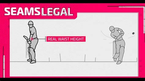 full toss no ball rules Android IOS V- 2.58