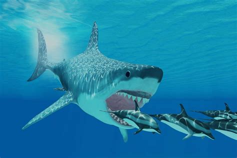 Megalodon was nothing like a giant great white shark - ScienceX Innovations