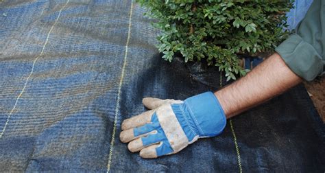 迈博体育myball中国官方网站