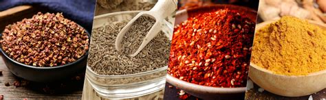 Buy Vasukie Salt & Pepper Square Glass Spice Jar with Black Sifter Two ...