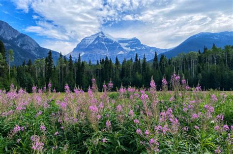 Image result for Alienware Aw510 Mic
