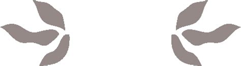 The 4 Health Benefits of Raw Honey and Yogurt | SIDR®