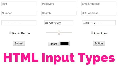 Input Form.html 的图像结果