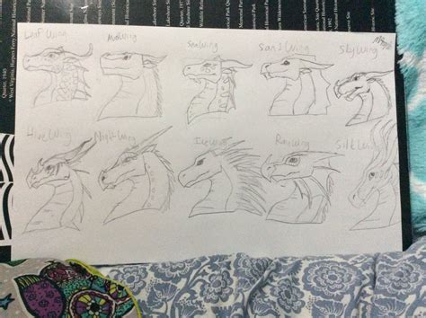 Tribes of Wings of Fire by Enkii