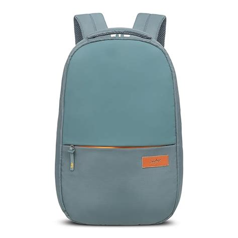 Buy Skybags XELIUS 01 BACKPACK TEAL at Amazon.in