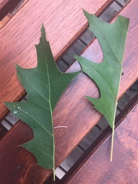 Landscape Message: August 7, 2020 : Center for Agriculture, Food, and ...