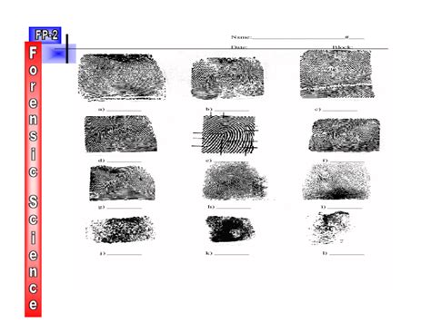 Image result for Fingerprint Matching Worksheet