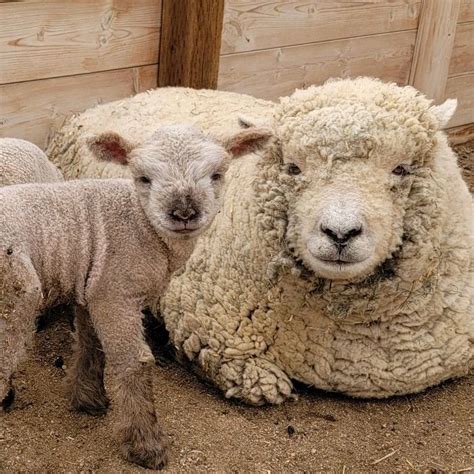 0 to 25 Guests within 30 miles of Eaton, CO (Eaton, Windsor, Greeley ...