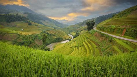[100+] Banaue Rice Terraces Wallpapers | Wallpapers.com