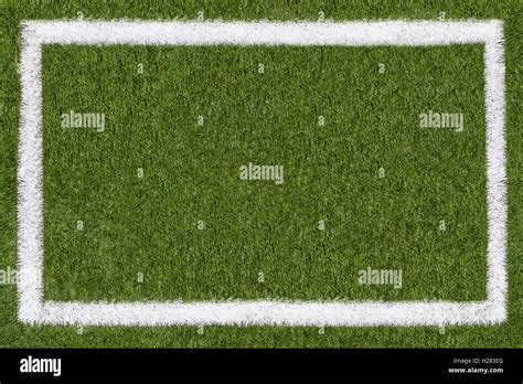 Natural Grass Field 的图像结果