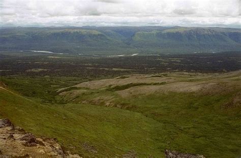 Little Coal Creek Trail | ALASKA.ORG