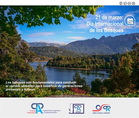 21 de marzo: Día Internacional de los Bosques