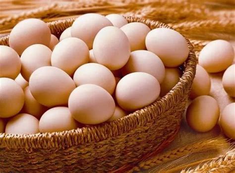 鸡蛋的种类有哪些，都有什么区别呢-
