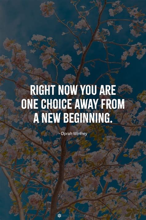 103 Quotes to Embrace New Beginnings - Bright Drops