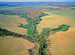 Image result for afforestation