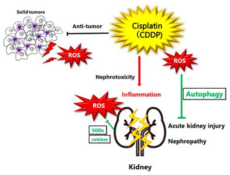Oxygen | September 2022 - Browse Articles