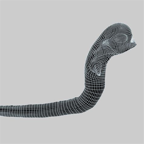 Alien Chestburster Drawing 的图像结果