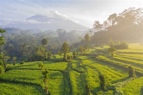 https://bali.com/wp-content/uploads/2022/03/Sidemen-ricefields-1200x800-1.jpg