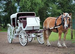 Image result for photo carriage
