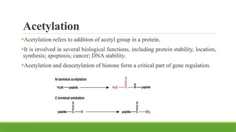 Most Common Post Translation Modification of Protein 的图像结果