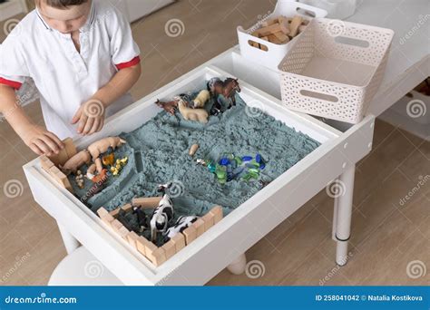 Cute Baby Boy Playing Sensory Box Kinetic Sand Table with Farm Animals ...