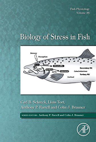 Biology of Stress in Fish (Fish Physiology Book 35) eBook : Schreck ...
