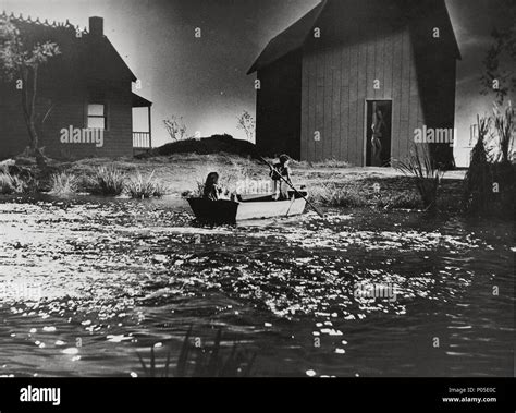 Sally jane bruce director hi-res stock photography and images - Alamy