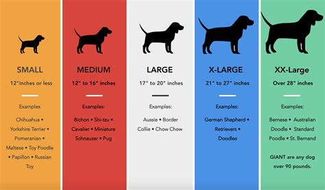 Dog Breed Size Chart: Find the Perfect Fit for Your Furry Friend - Pet 2