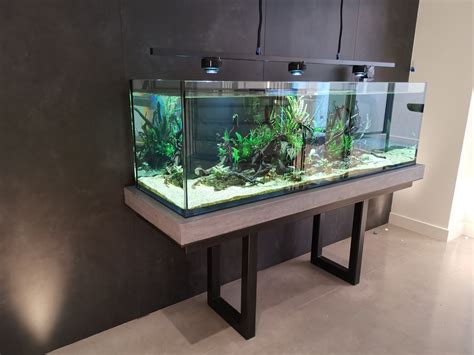 Image result for Fish Tank Pool Table