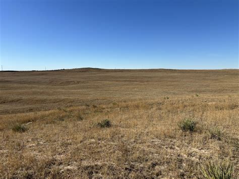 Simmons Range | Absolute Auction | 803.56 Acres | Agri Affiliates