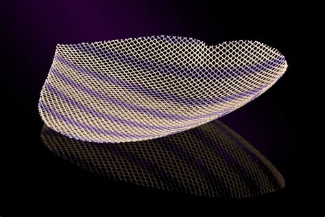 Fda Surgical Mesh at Mia Hartnett blog