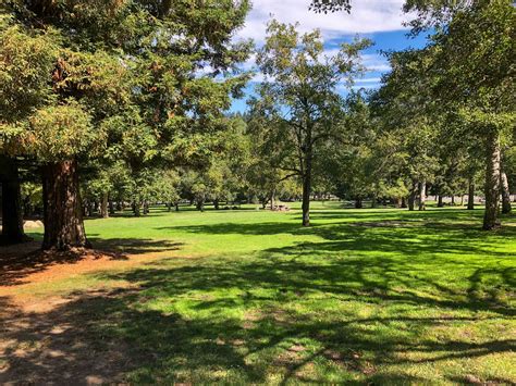 Are Dogs Allowed At Sanborn County Park