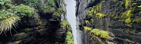 Panoramic Guizhou 6-day in-depth tour (witness the wonders of Fanjing ...